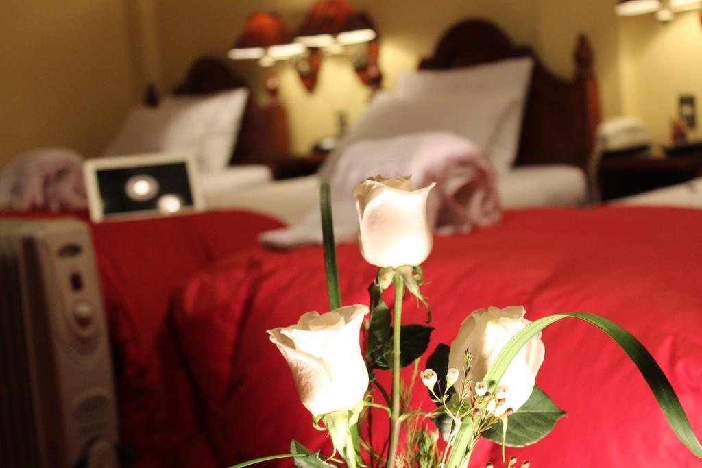 Hotel Casona Colon Inn Puno Ngoại thất bức ảnh